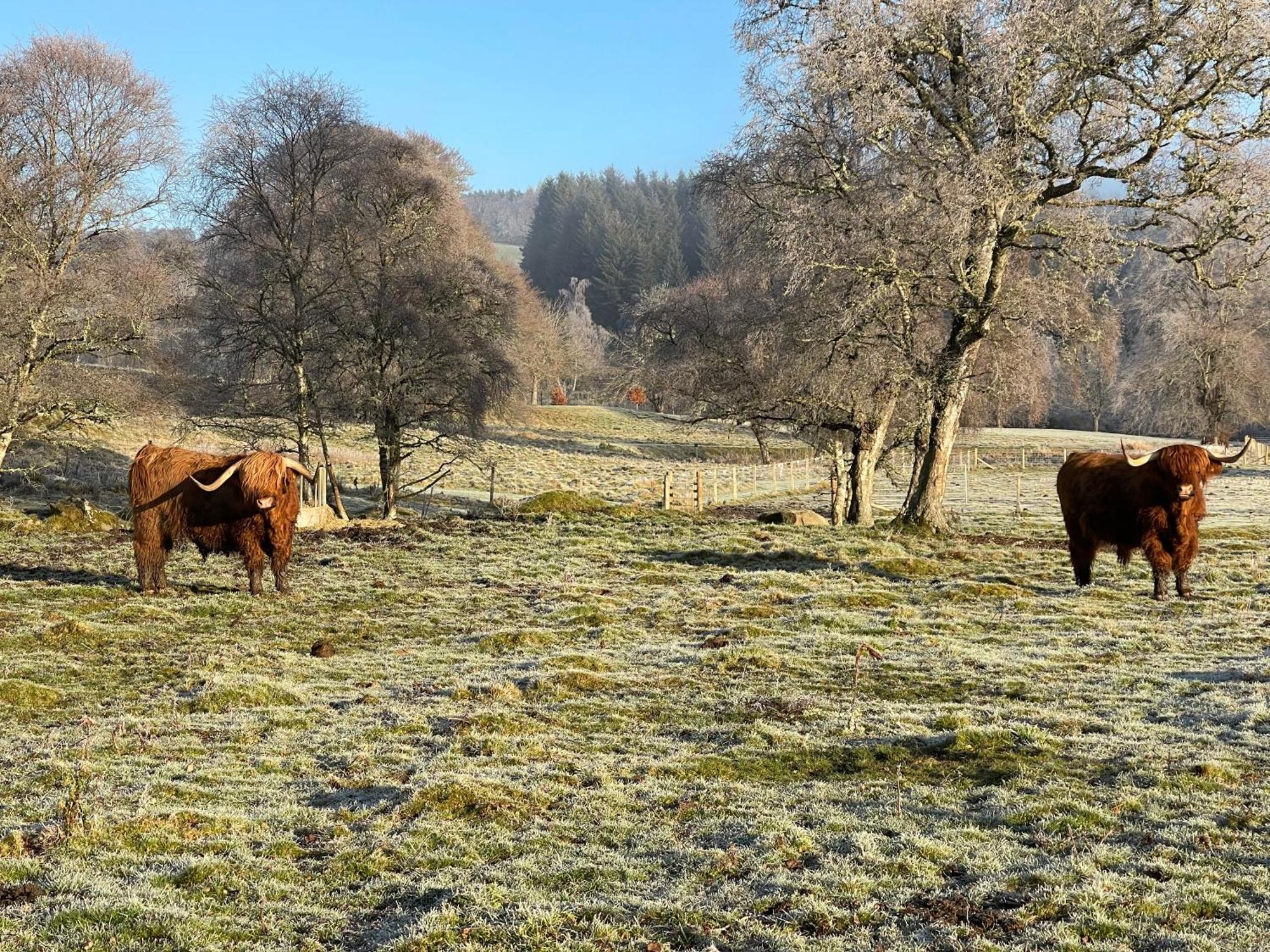 Grantown-on-Spey Coppice Cottage מראה חיצוני תמונה