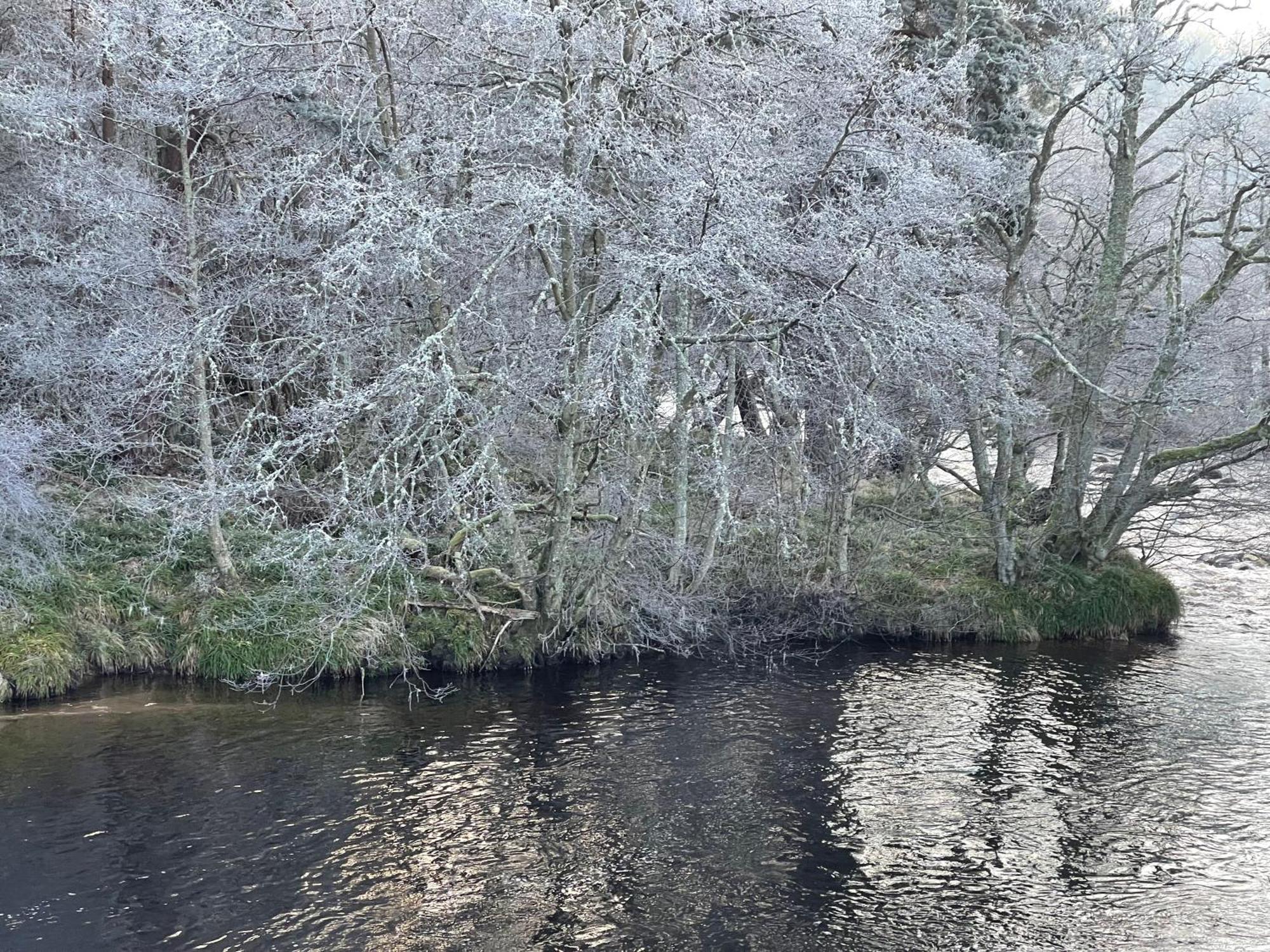 Grantown-on-Spey Coppice Cottage מראה חיצוני תמונה