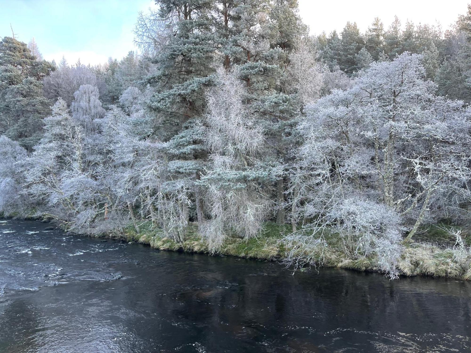 Grantown-on-Spey Coppice Cottage מראה חיצוני תמונה