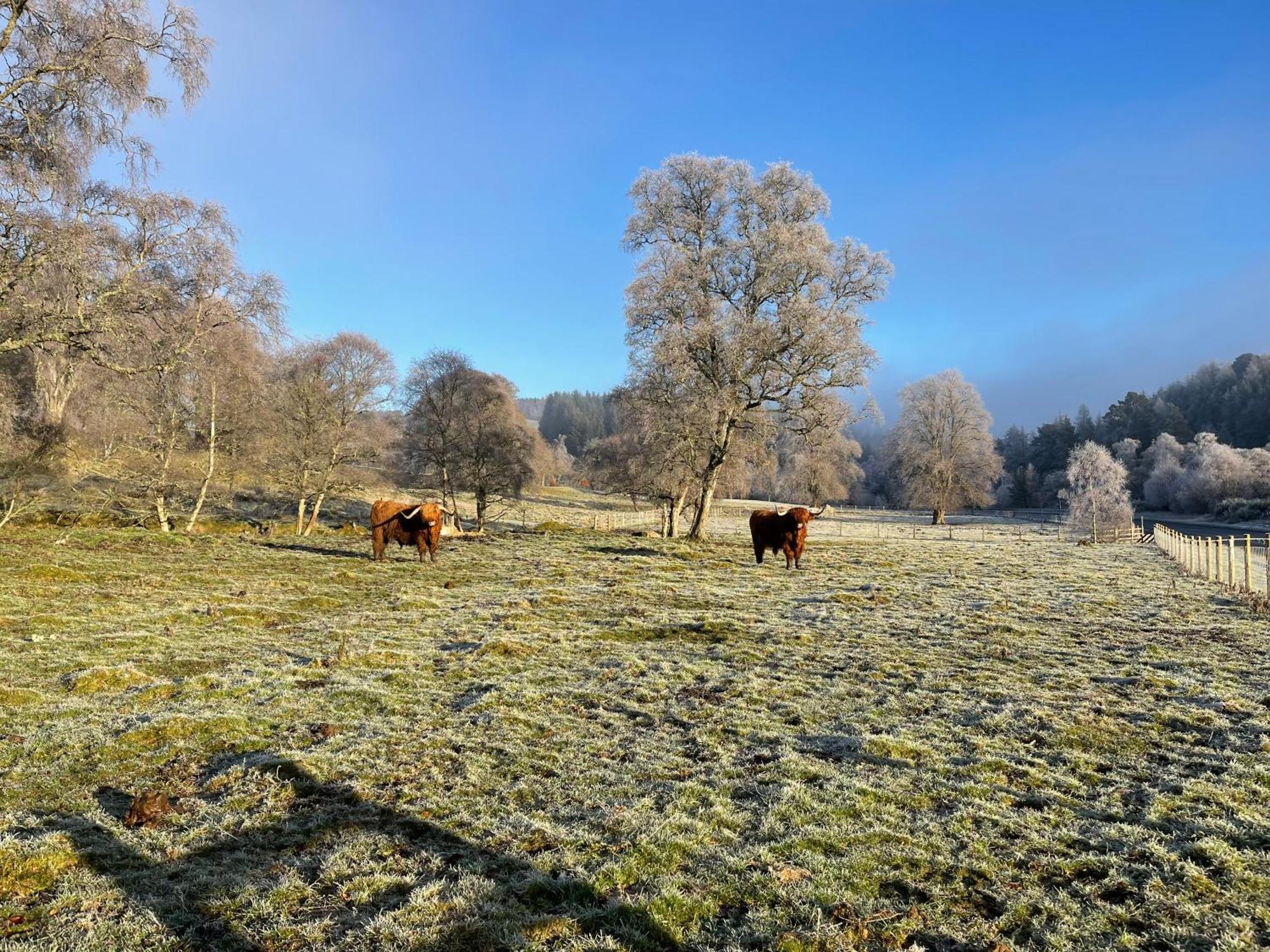 Grantown-on-Spey Coppice Cottage מראה חיצוני תמונה