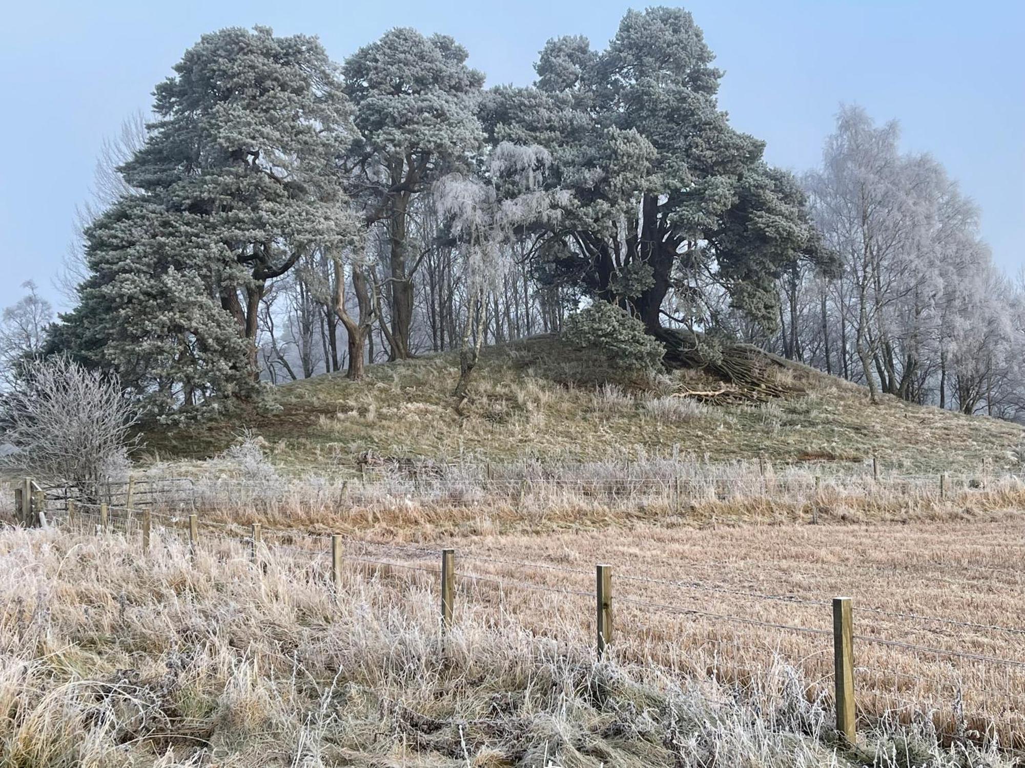 Grantown-on-Spey Coppice Cottage מראה חיצוני תמונה