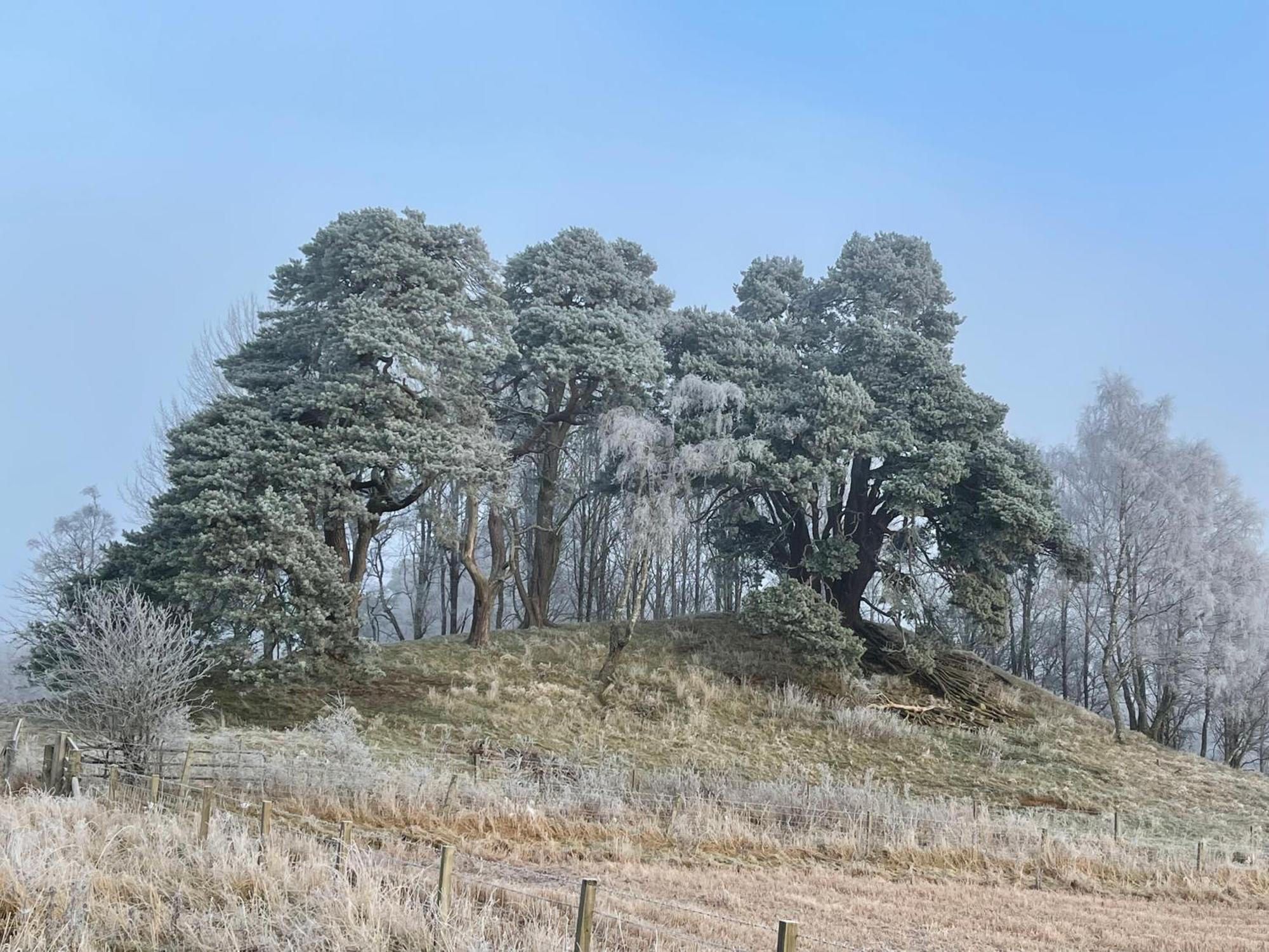 Grantown-on-Spey Coppice Cottage מראה חיצוני תמונה