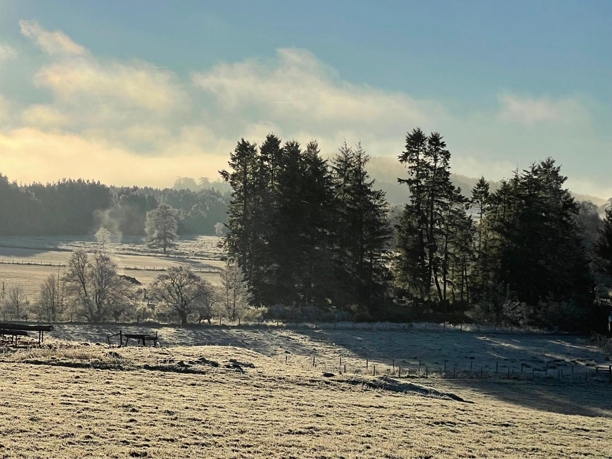 Grantown-on-Spey Coppice Cottage מראה חיצוני תמונה