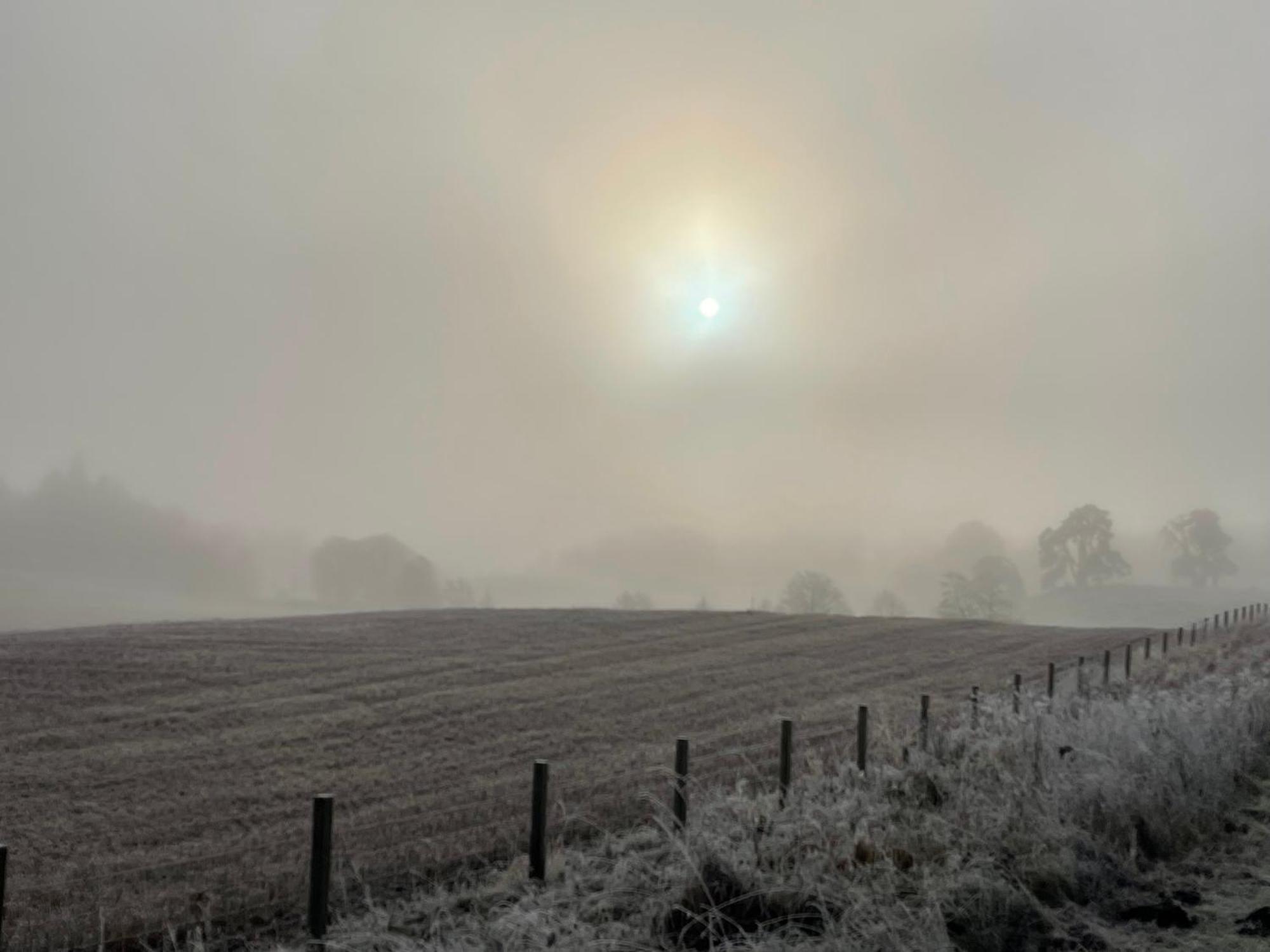 Grantown-on-Spey Coppice Cottage מראה חיצוני תמונה